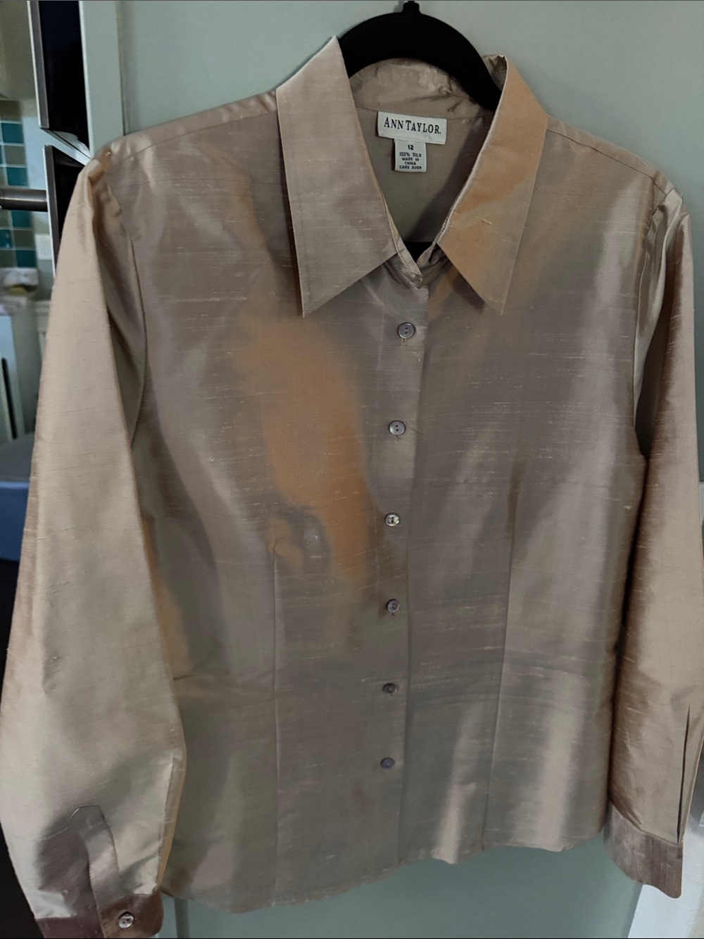 Ann Taylor 💯 % silk Neutral Champagne Silk-Button Front Shirt